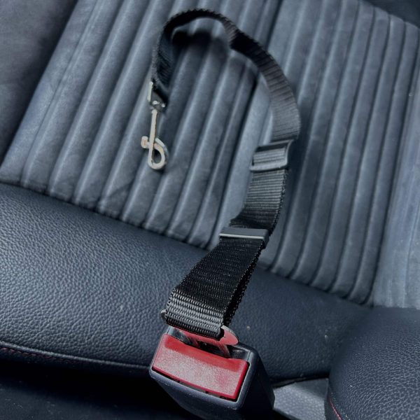 Ceinture de sécurité pour petits chiens